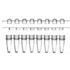 Ultrastrip: barettes de 8 microtubes PCR 0,2ml nat. + cape dôme