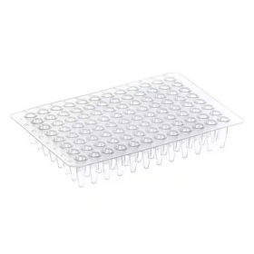 Plaque PCR Thermo-Fast 96 puits sans jupe naturelle