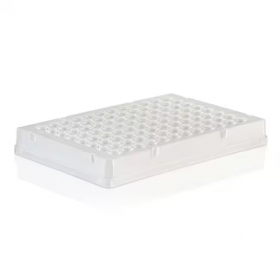 Plaque PCR, 96 puits, jupée, Thermo-Fast, profil bas