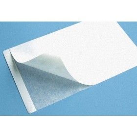 Feuilles adhésives, perméable au gaz, Rayon, pour culture cellulaire