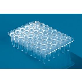 Plaque PCR 48-puits, incolore, profil standard, bord surélevé