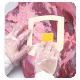 Base prélèvement de viande, stérile