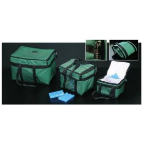 Deltalab Sac isotherme 10 L vert