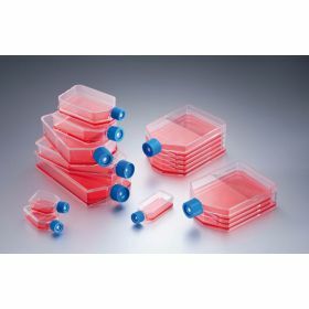 Flacon de culture cellulaire avec bouchon standard 25 ml Falcon® - 12,5 cm2