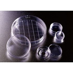 Boîte Petri 150x25mm INTEGRID quadrillage 20mm