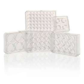 TC plaque à 4 puits Nunclon FIV 1 ml 1,9 cm², stérile