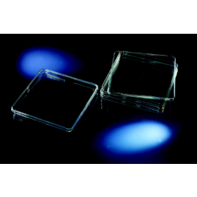 Boîtes  Bio-Assay Nunc 241x241x20mm, sterile