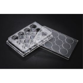 SPL TC plaque à 12 puits 2 ml, traitée, stérile