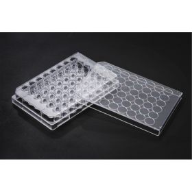 SPL TC 48-puits plaque 0,5 ml, traitée, stérile