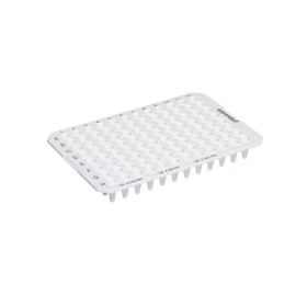 Twintec plaque PCR 96 puits, unskirted low, 150 µl