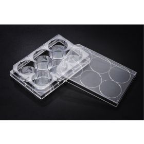 SPL TC Plaque à 6 puits 3 ml 9,6 cm², non traitée, stérile