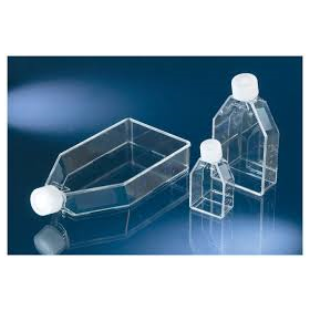 Flask TC Nunclon 25cm² col droit +cape filtre