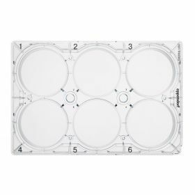 Epp Cell Culture Plate 6-well fond plat + couvercle - stérile, non traité