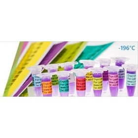 Etiquettes Cryo - 76x51mm, 240 pcs - blanc