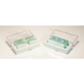 Lamelle couvre-objet 22 mm x 22 mm NX