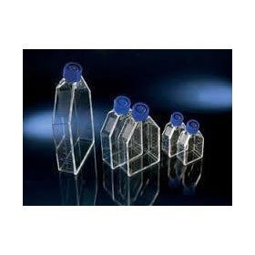 Easy flask flacon de culture cellulaire 25 cm² Nunclon col incliné + bouchon filtre, stérile