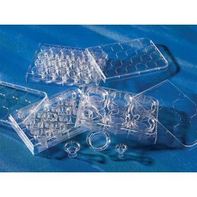 Insert de membrane Transwell®, diamètre 12 mm, taille des pores 0,4 µm, PET, stérile
