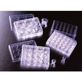 Falcon 23mm,8µm, 6-well, insert membrane PET, stérile