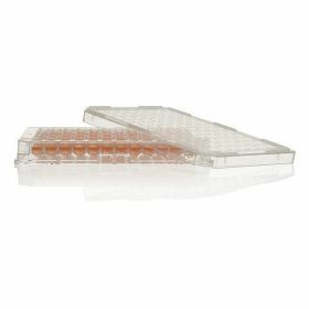 Plaques Nunc 96 MicroWell™- fond plat-couvercle-ST
