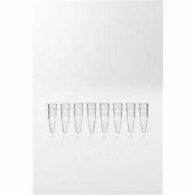 Nerbe Plus strip PCR 0,2ml naturel sans cape