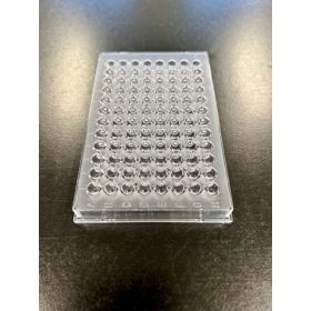 Plaque à microtitration fond en U, non stérile