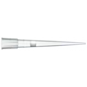 Rack Finntip filtre 10 ml stérile, 5x24