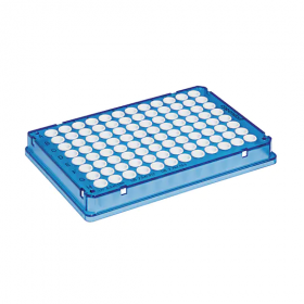 Eppendorf twin.tec® PCR Plate 96w, real-time, bleu, 150µl