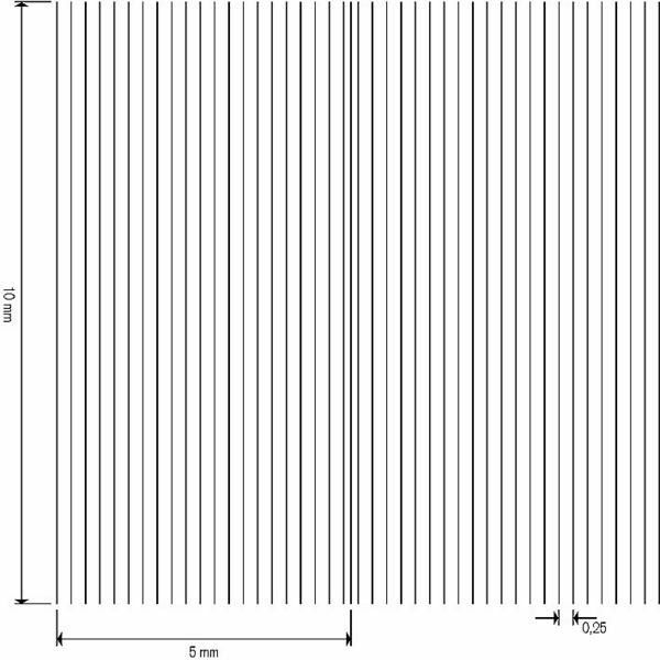 Cellule de numération Nageotte