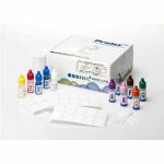 Prolex strep grouping test kit 