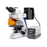 Kern OBN 148 microscope à lumière transmise trinoculaire
