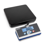 KERN EOE 300K100 balance plate-forme - 300 kg - 100 g