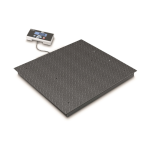 KERN BIC 600K-1S balance au sol - 300 kg / 600 kg - 100 g / 200 g
