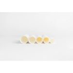 ETG cartouche d’extraction en microfibre de verre, 25 × 100 mm