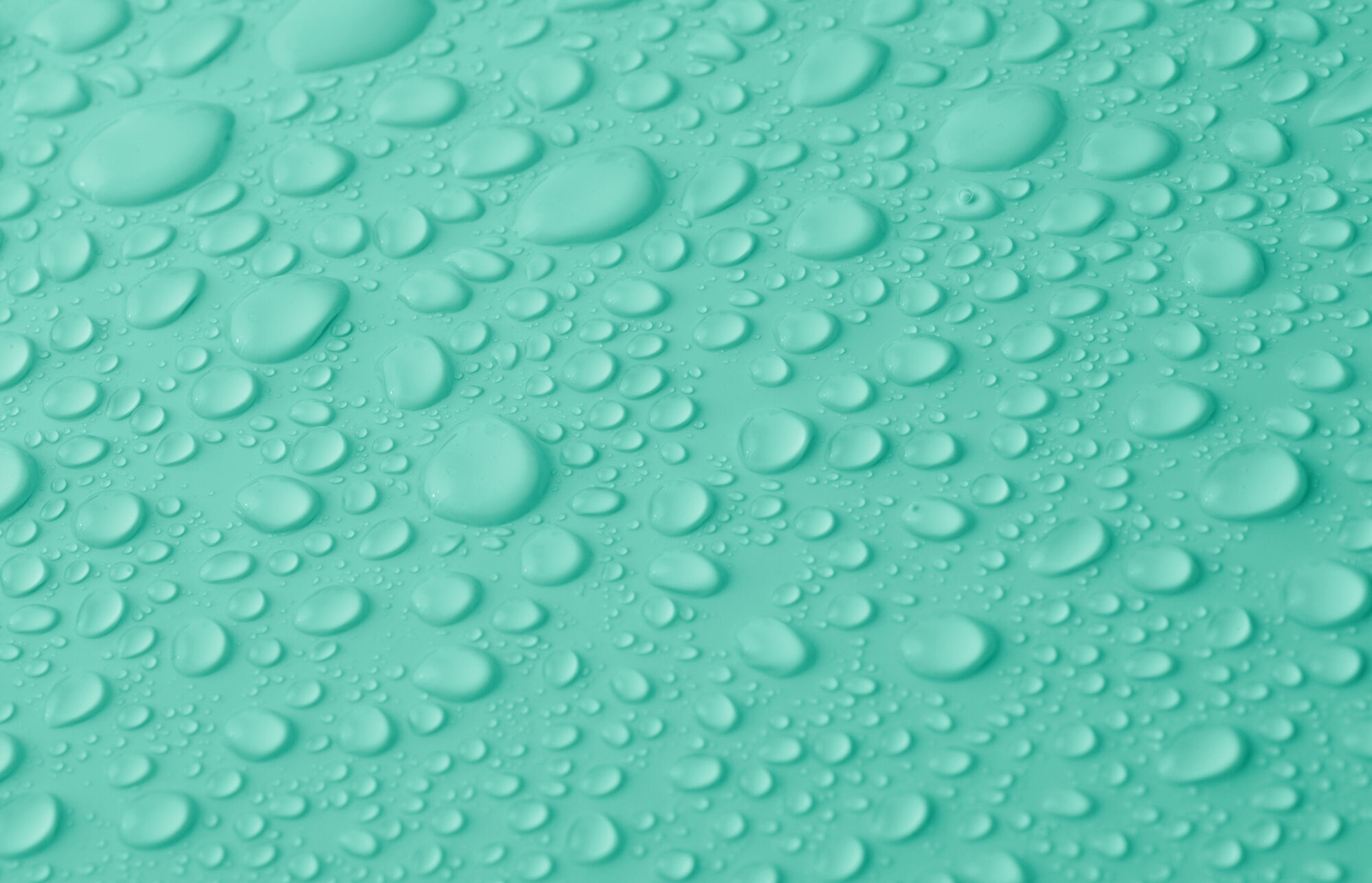 L’activité de l’eau, paramètre essentiel pour la qualité des produits
